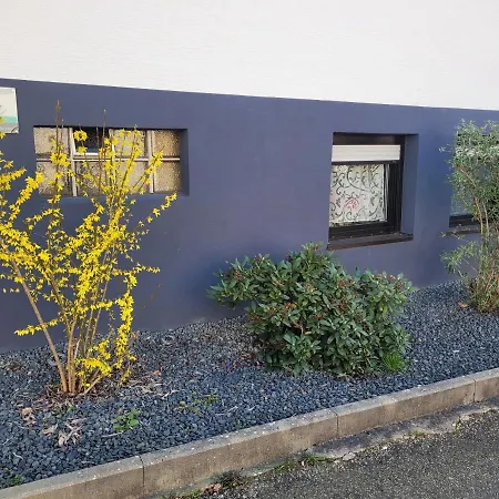 Jasmin In Bei Heidelberg 4 Kellergeschoss Schonau (Rhein-Neckar-Kreis)