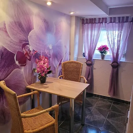 Jasmin In Bei Heidelberg 4 Kellergeschoss