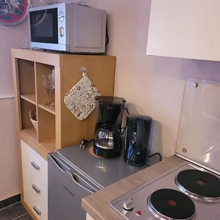 Ferienwohnung Jasmin In Schoenau Bei Heidelberg Fewo 4 Kellergeschoss Apartment *