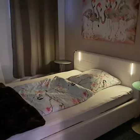 Jasmin In Bei Heidelberg 4 Kellergeschoss *